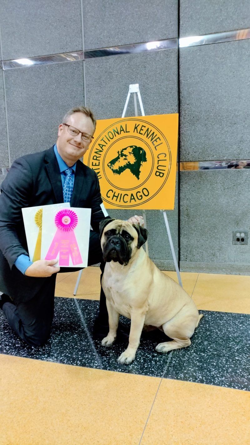 A man kneeling next to a pug dog holding a first place dog training award