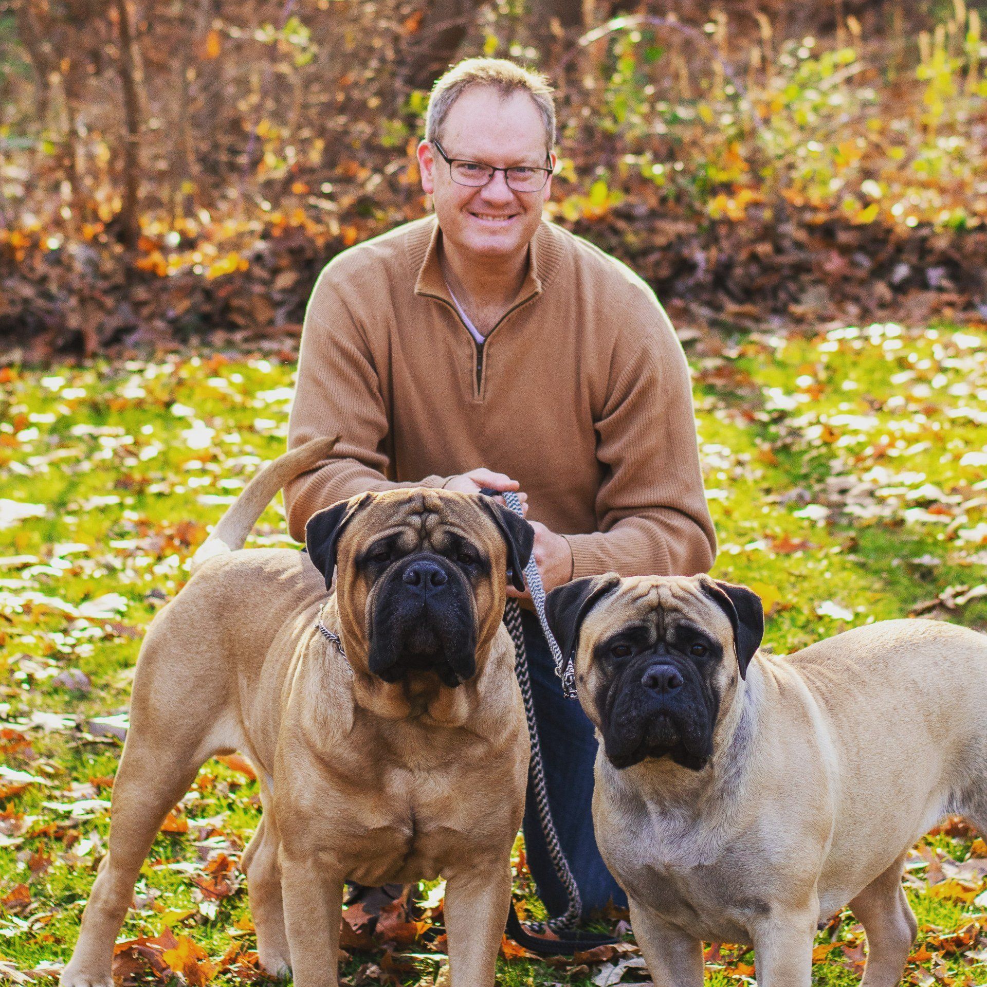 A man in a brown sweater is kneeling next to two dogs after training them