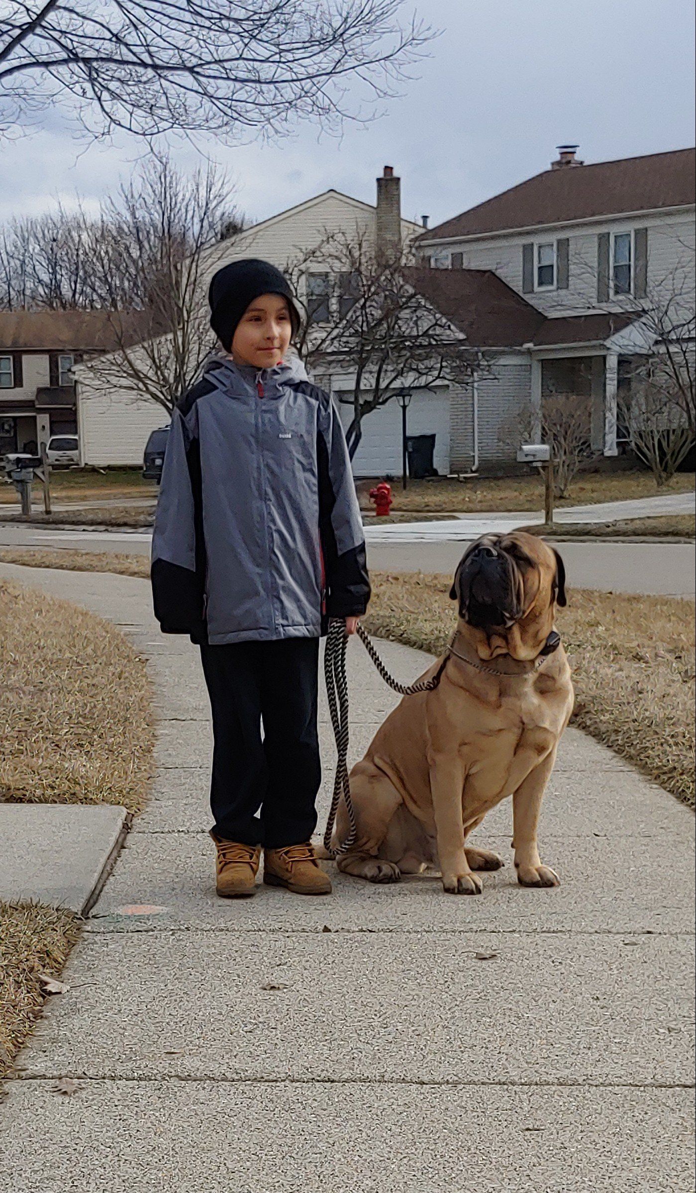A boy standing next to a dog on a leash after it has been well trained