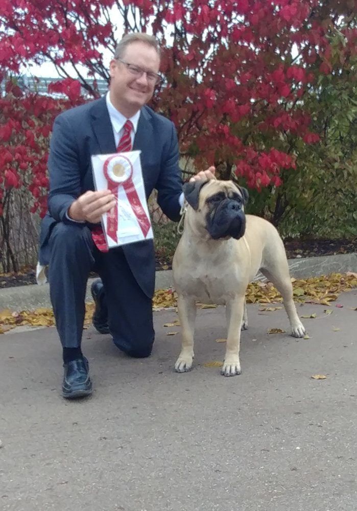A dog trainer in a suit and tie kneeling next to a pug dog holding a first place ribbon