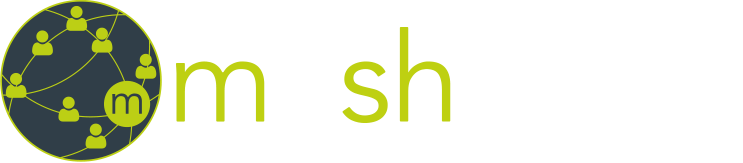 Meshwork logo