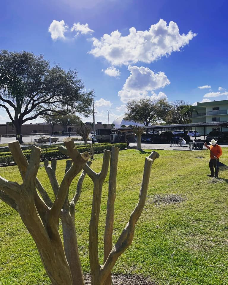 Grassy park with trimmed trees, a person in an orange shirt, and buildings under a bright blue sky with clouds