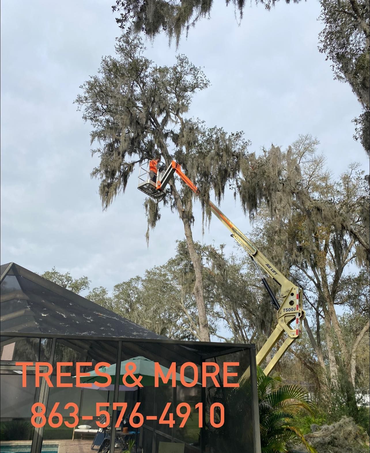 Tree service worker trimming a tall tree with a boom lift; 