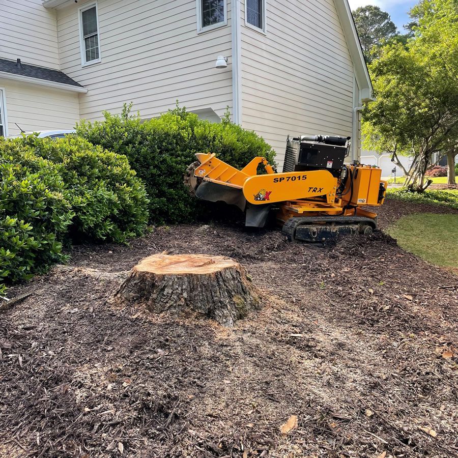 A yellow stump grinder is cutting a tree stump in front of a house.