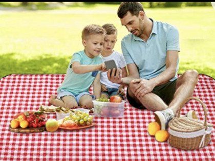 Father and two kids family picnic