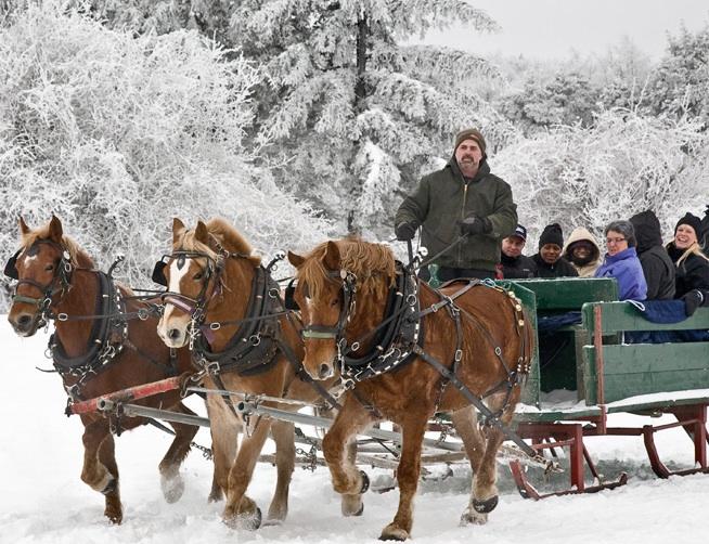 Family Fun; Family Photo Area North Tonawanda, NY Rustic Buffalo