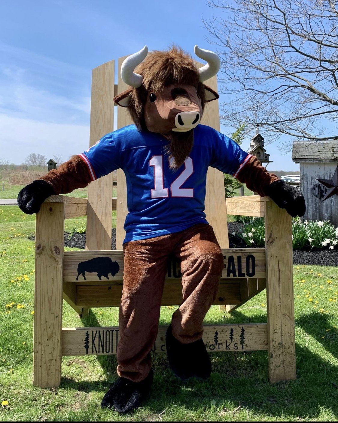 Family Fun; Family Photo Area North Tonawanda, NY Rustic Buffalo