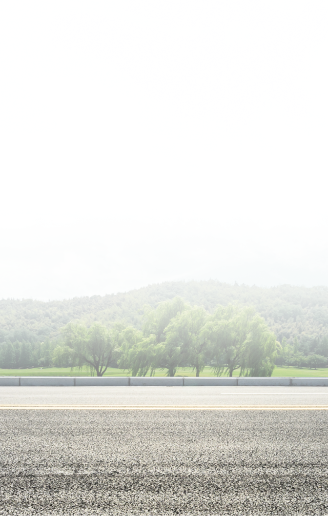 Panoramic view of a tree line and a mountain under a misty sky. | Dyno- Comp