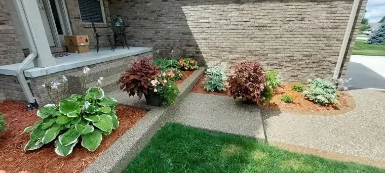 Front yard with a garden bed full of plants and mulch. The plants sit next to a concrete walkway and lawn.