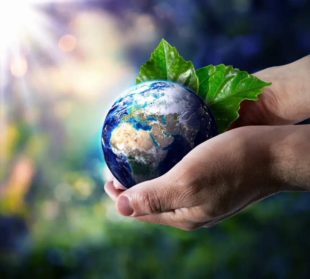 A person is holding a globe with leaves on it in their hands.
