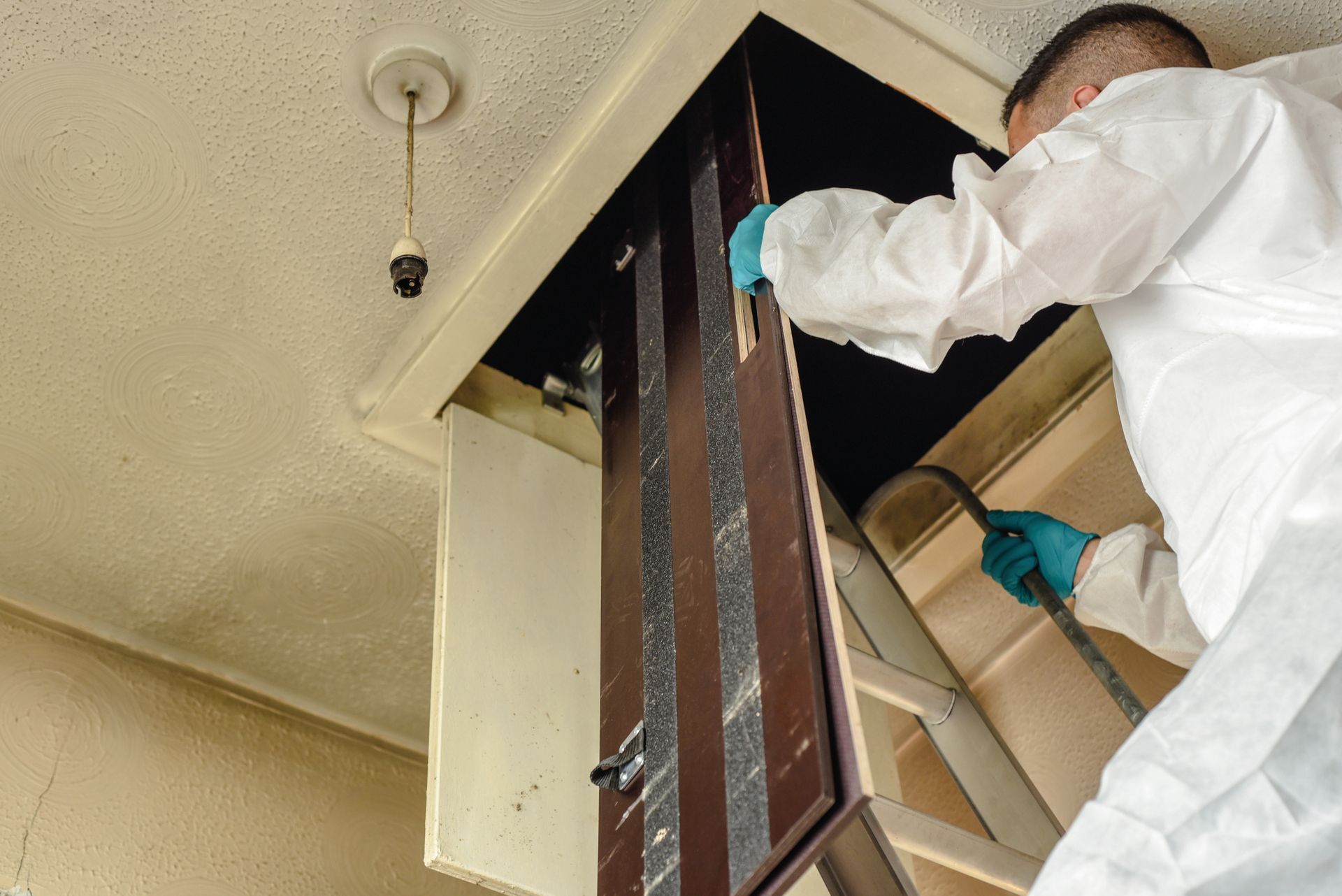 Person in white protective suit, removing a door from a ceiling access, standing on a ladder.