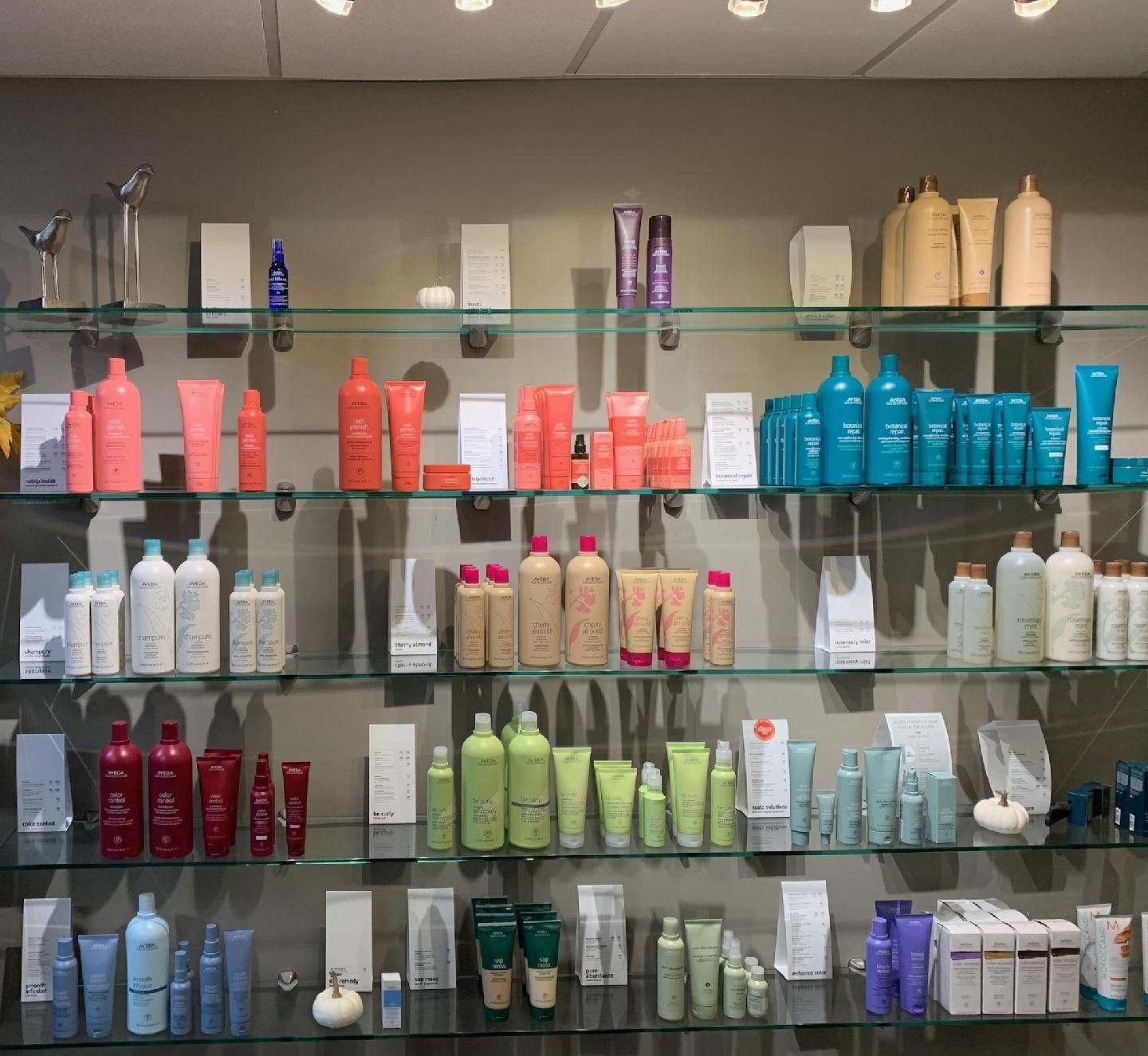 View Our Gallery | Racine, Wisconsin | Aponi Salon