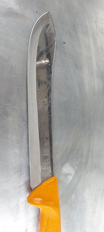 A Focused Shot of A Knife Blade — Shaving Sharp Knives And Tools in Warwick, QLD