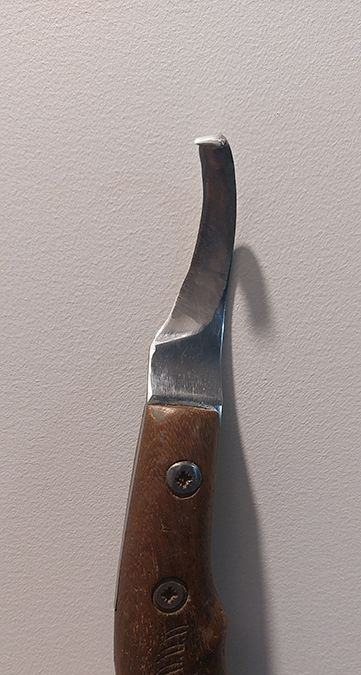 An Image of a Horse Farrier Knife — Shaving Sharp Knives And Tools in Stanthorpe, QLD