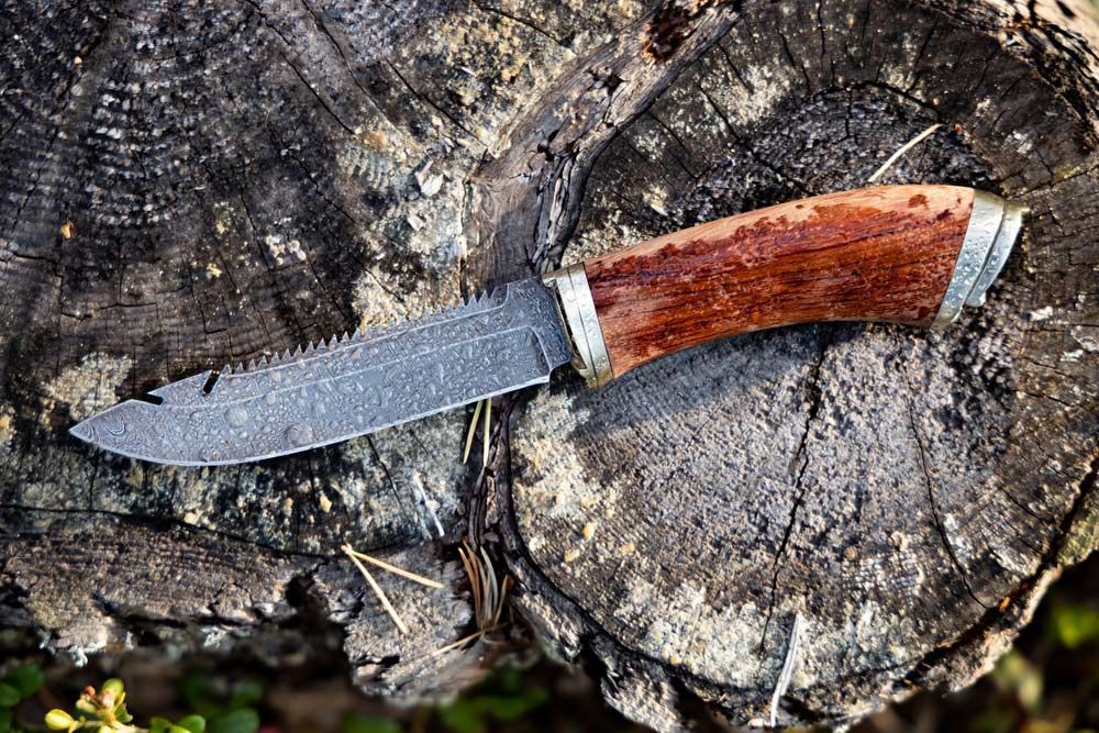 A Knife Resting on a Tree Stump — Shaving Sharp Knives And Tools in Gatton, QLD