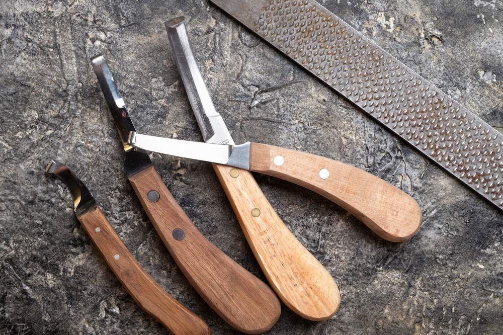 A Plier Are Sitting on a Table — Shaving Sharp Knives And Tools in Centenary Heights, QLD
