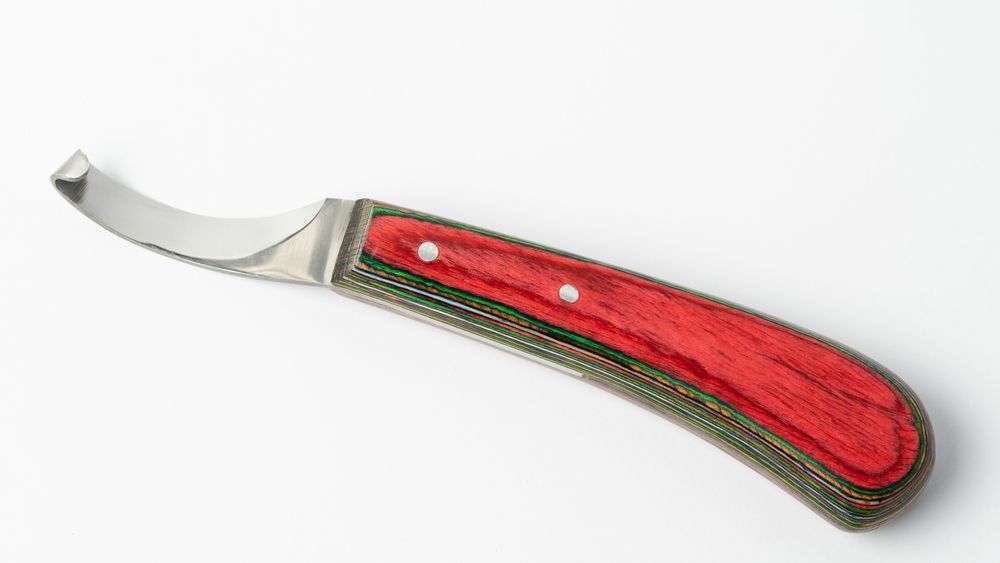 A Horse Farrier Knife on White Background — Shaving Sharp Knives And Tools in Warwick, QLD