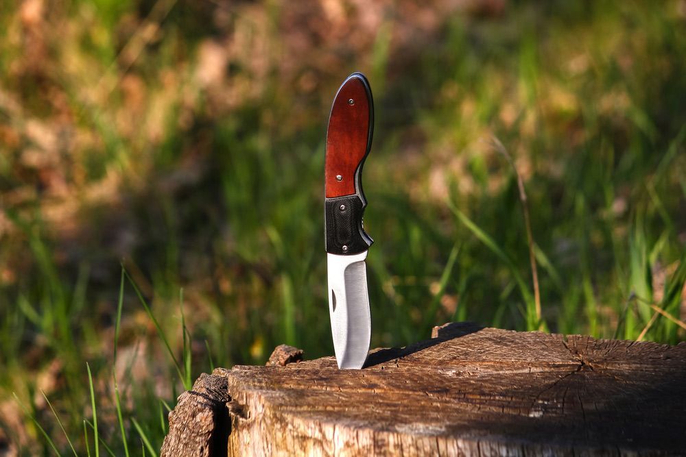 A Knife Struck on a Tree Stump — Shaving Sharp Knives And Tools in Toowoomba, QLD