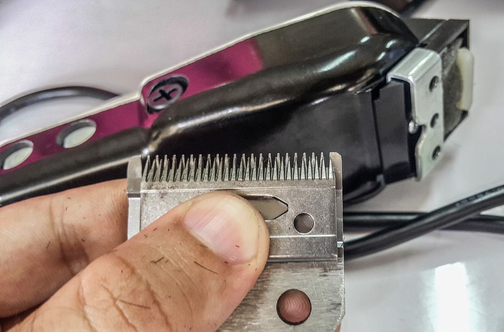 A Person Is Holding A Hair Clipper Blade In Their Hand — Shaving Sharp Knives And Tools in Stanthorpe, QLD