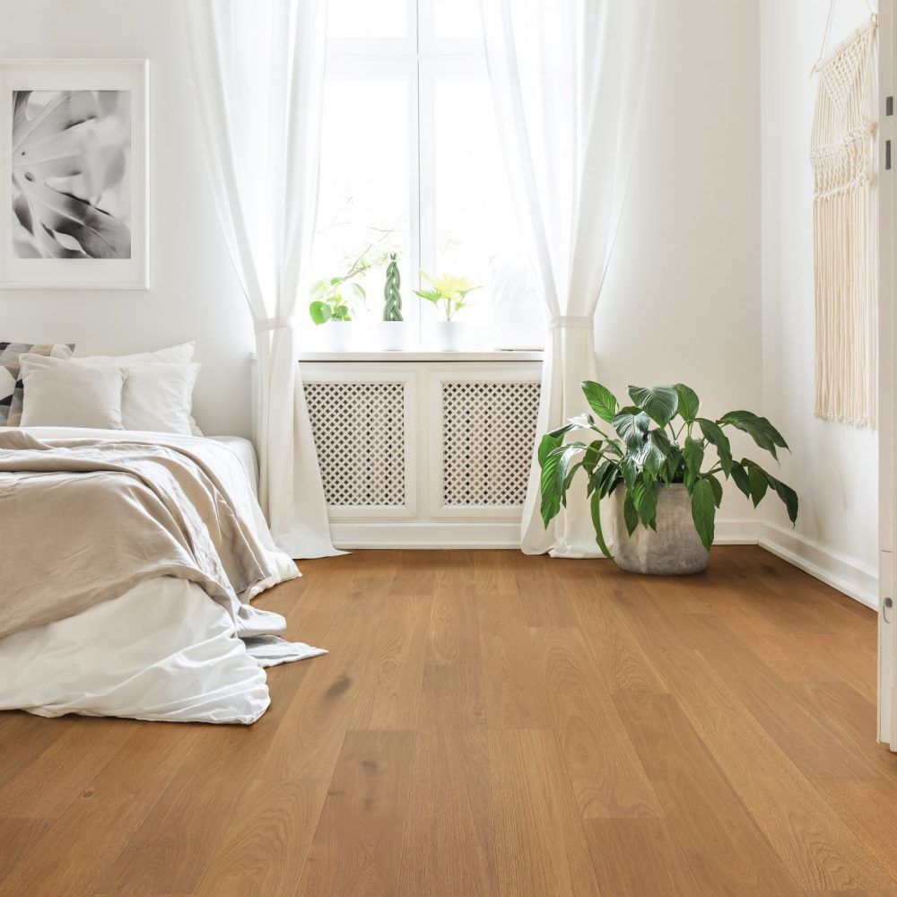 Bedroom with hardwood floors, a bed with white linens, and a large plant. Sunlight streams through the window.