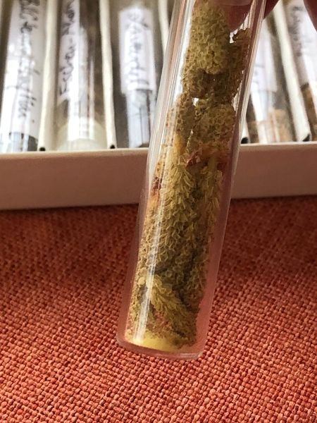 Am Boden des Glasröhrchens sieht man den gelben Staub! Die kleine Menge ist schon ausreichend - und in den Blütengebilden ist noch mehr Pollenstaub, der sich noch nicht herausgelöst hat. Kieferpollen, Pollenallergie, Testsatz Pollenallergie, Testampulle Kieferpollen, Kinesiologie, kinesiologischer Muskeltest, Pollenallergie kinesiologisch testen, Biophotonen bei Pollenallergie