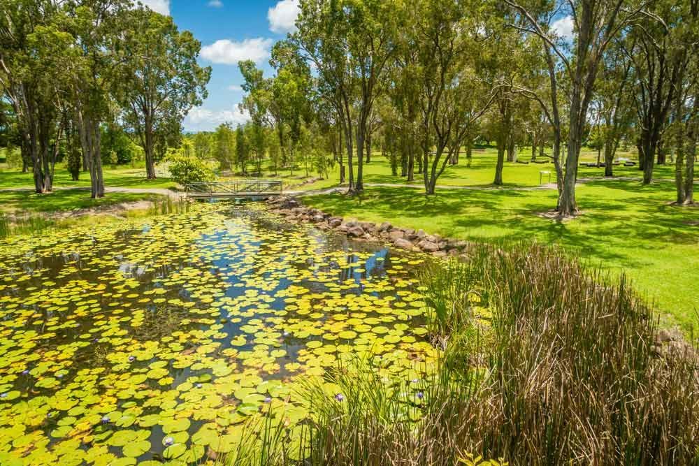 A Pond Filled With Water Lilies in a Park Surrounded by Trees — 2 Deadly Timber & Lattice in Ingham, QLD