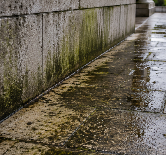 Wet stone walkway beside a stained concrete wall, with moss and puddles after rain