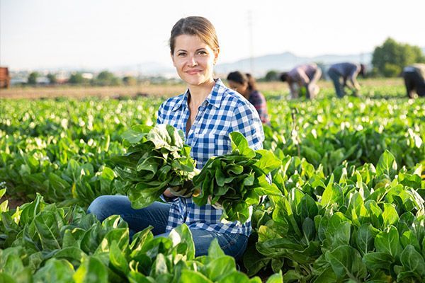 A woman is sitting in a field holding a bunch of spinach.