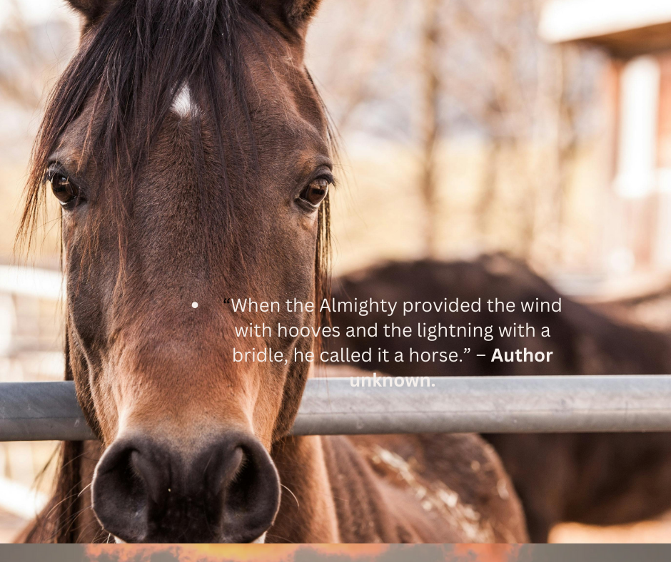 A horse behind a fence with a quote on it