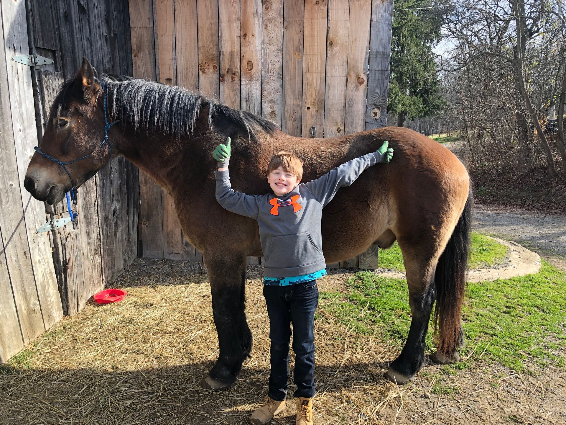 A young boy is standing next to a large brown horse.