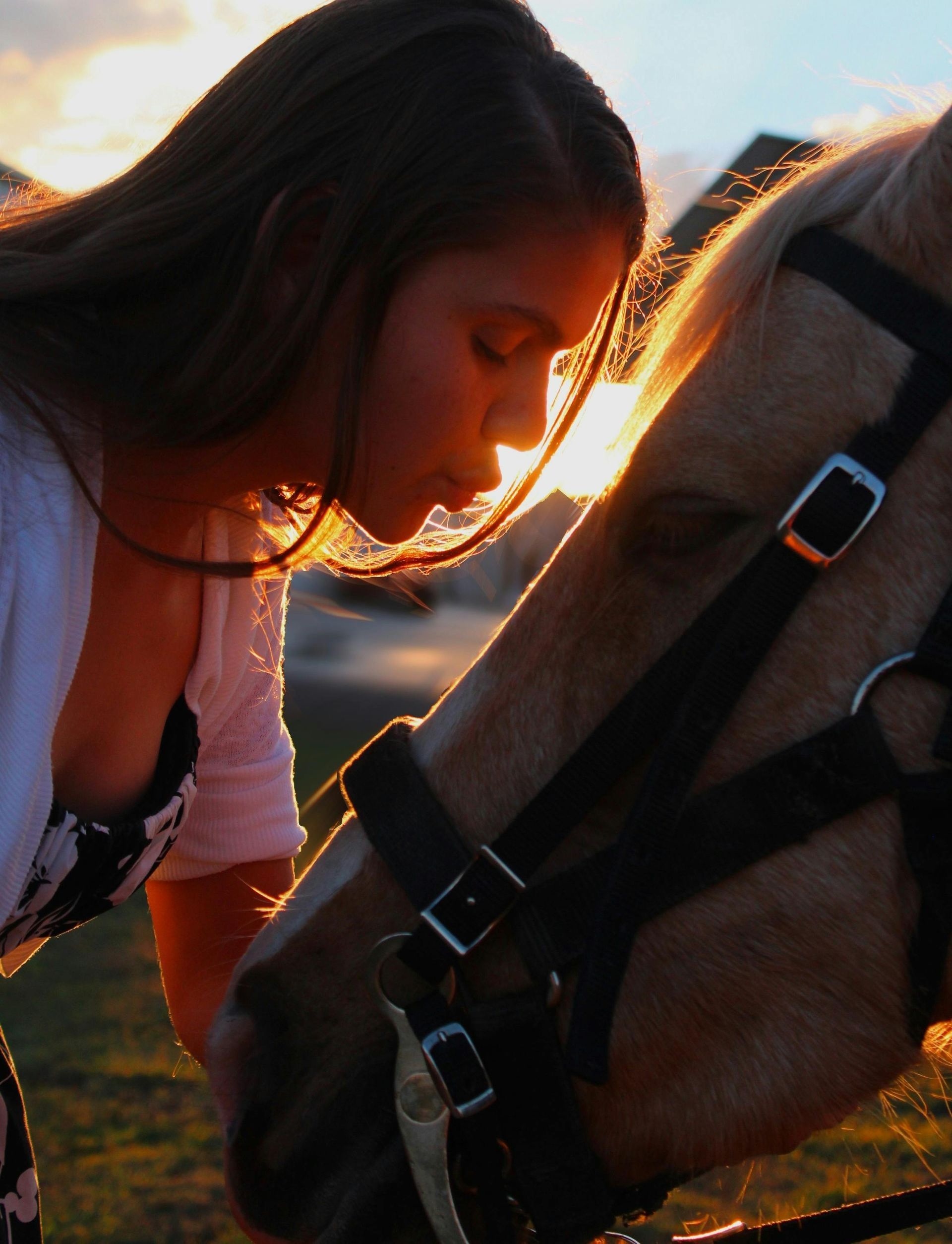 A woman kisses the nose of a brown horse