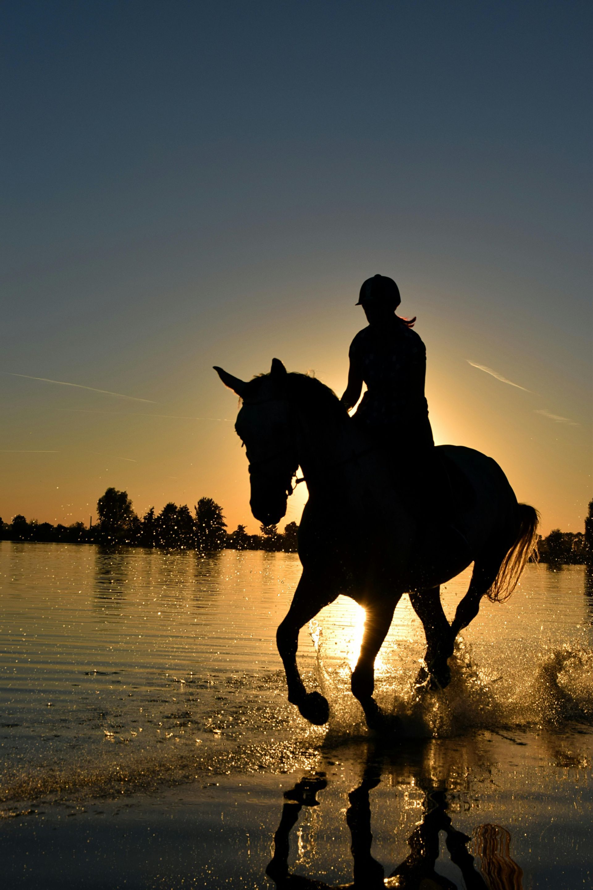 A person riding a horse in the water at sunset