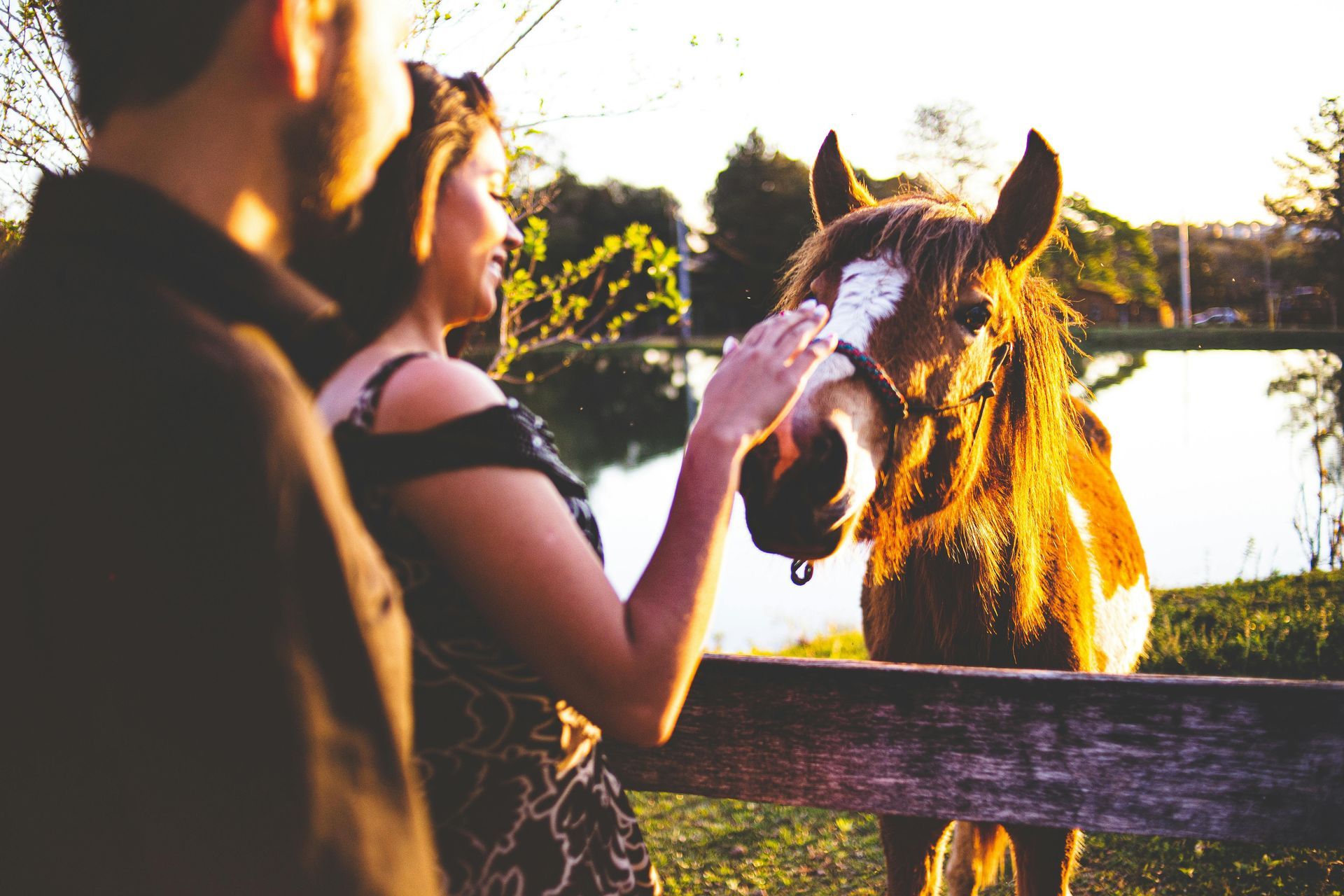 A man and a woman petting a horse behind a fence