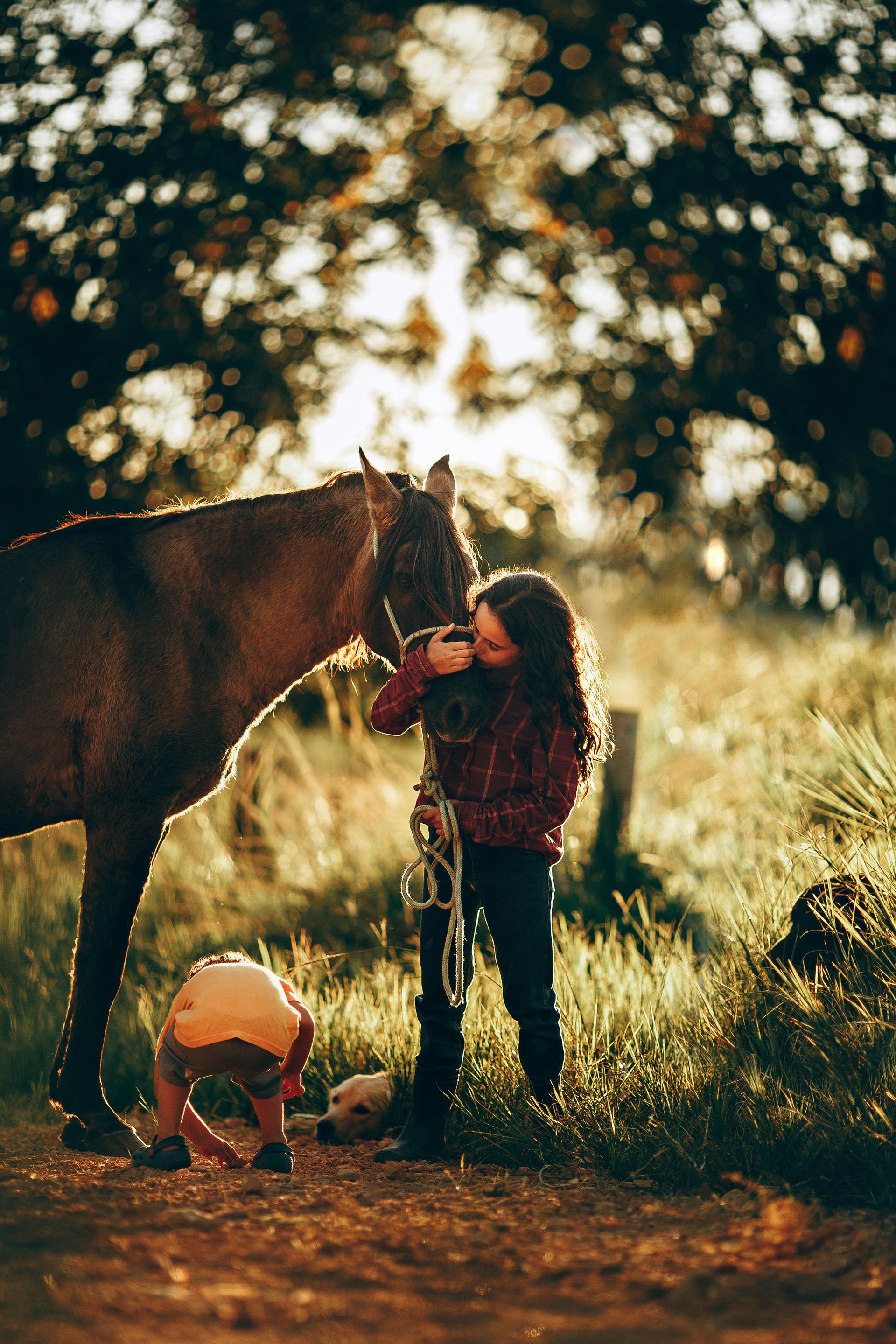 A girl is standing next to a horse in a field.