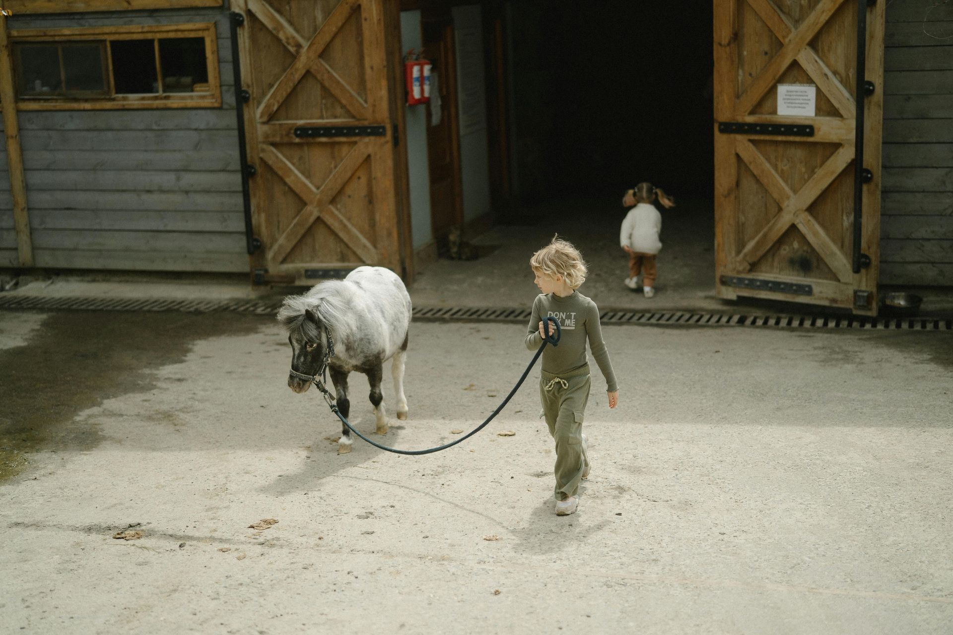 A little boy is walking a pony on a leash