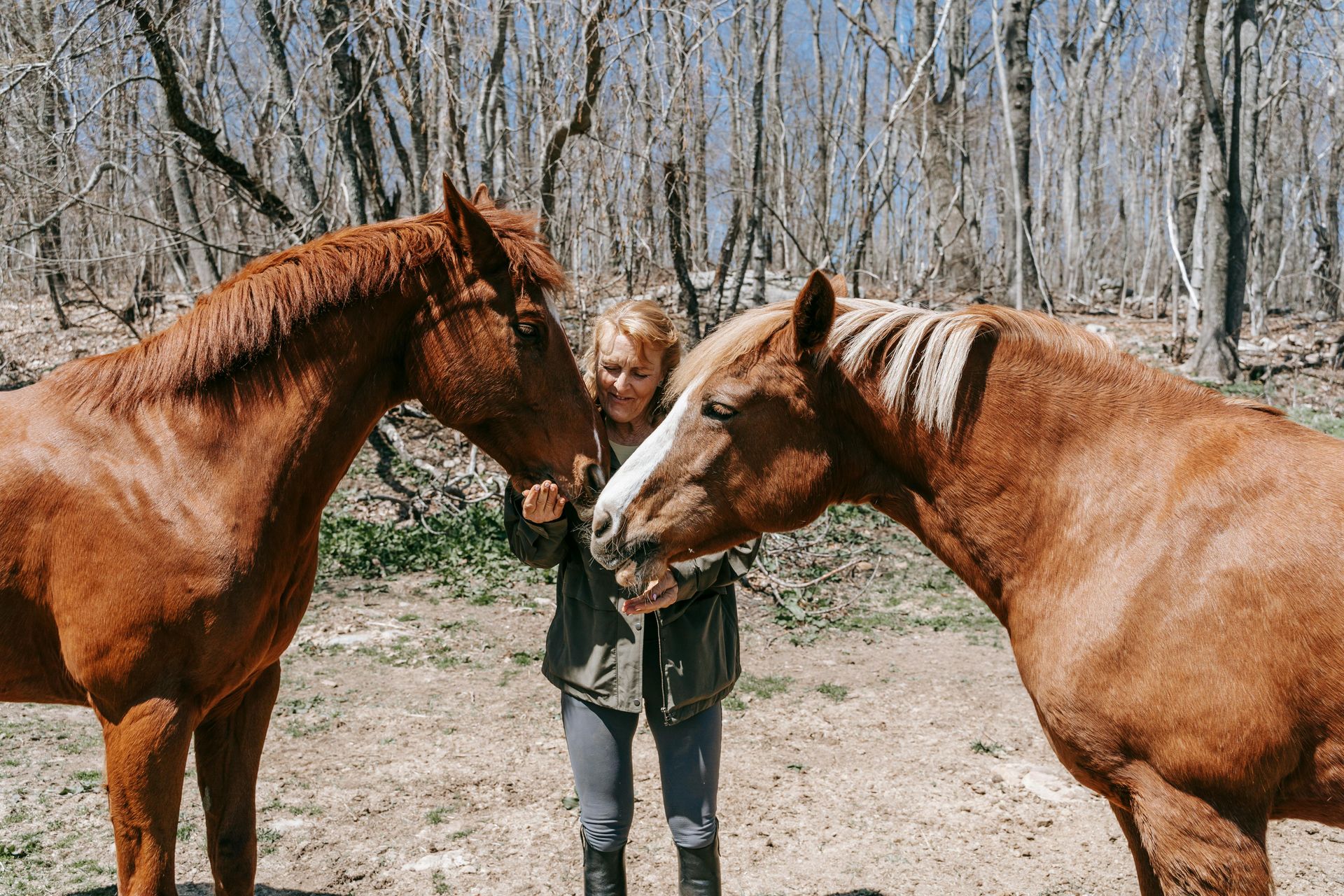 A woman is petting two brown horses in a field.