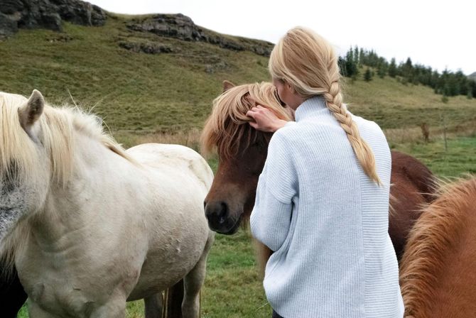 A person is petting a horse 's face with their hand.