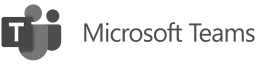 Microsoft Teams logo with gray icon and text on white background