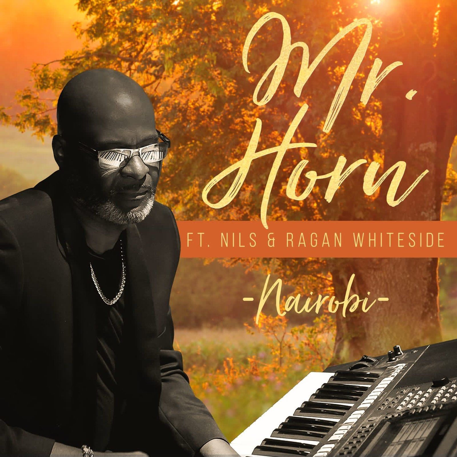 Album cover: Mr. Horn playing keyboard. Features Nils & Ragan Whiteside. Autumn background with warm colors.