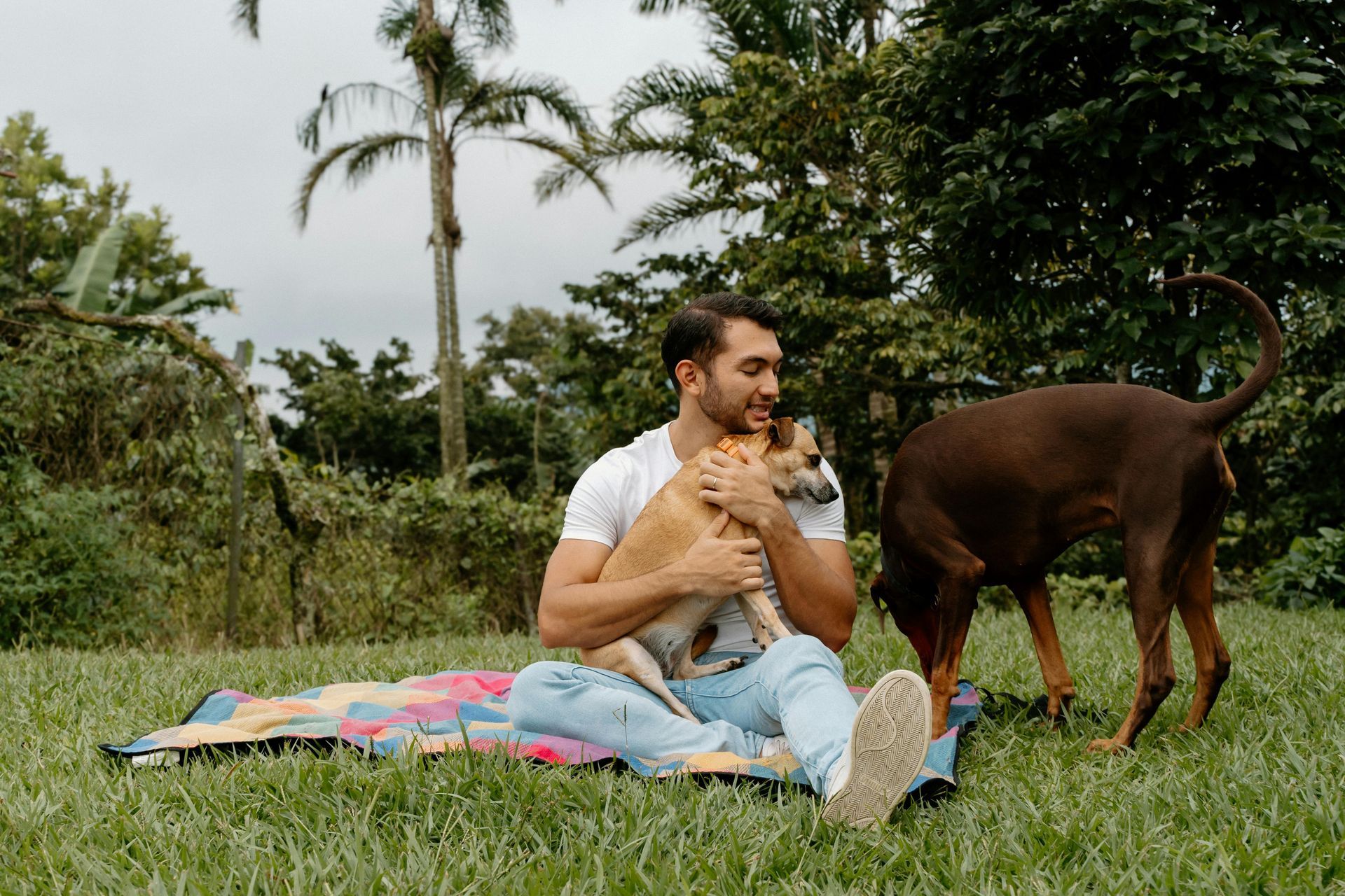 A man is sitting on a blanket in the grass with two dogs.