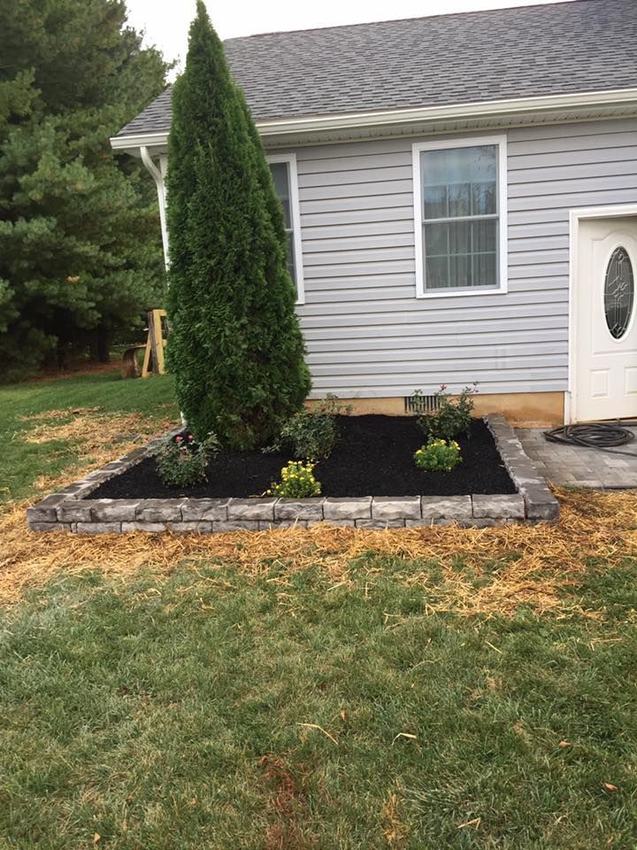 A small garden in front of a house with a tree in it.