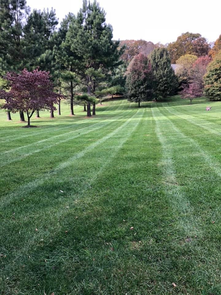A lush green field of grass with trees in the background.