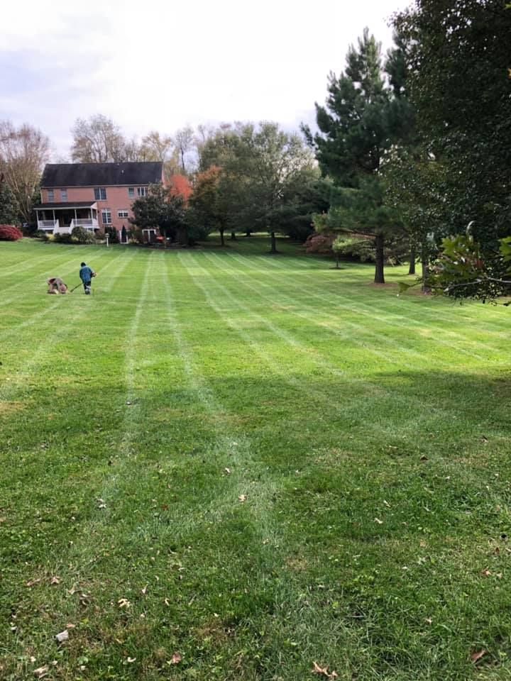 A man is walking across a lush green lawn in front of a house.