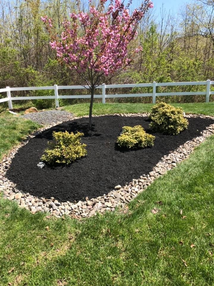 There is a cherry blossom tree in the middle of the garden.