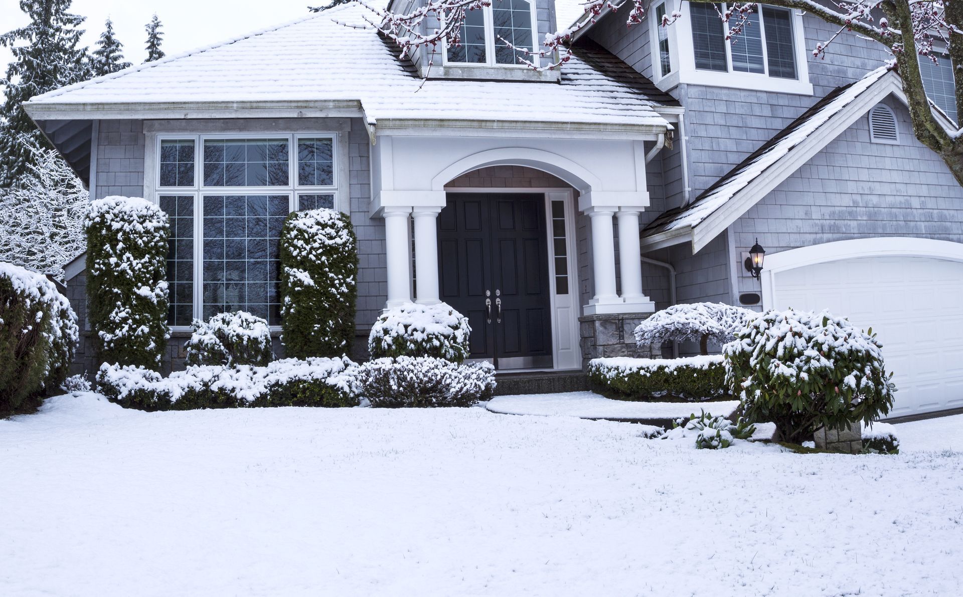 A house is covered in snow and trees are covered in snow.