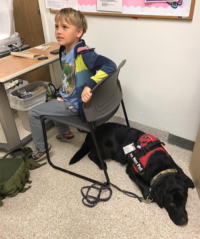 A boy is sitting in a chair next to a service dog.