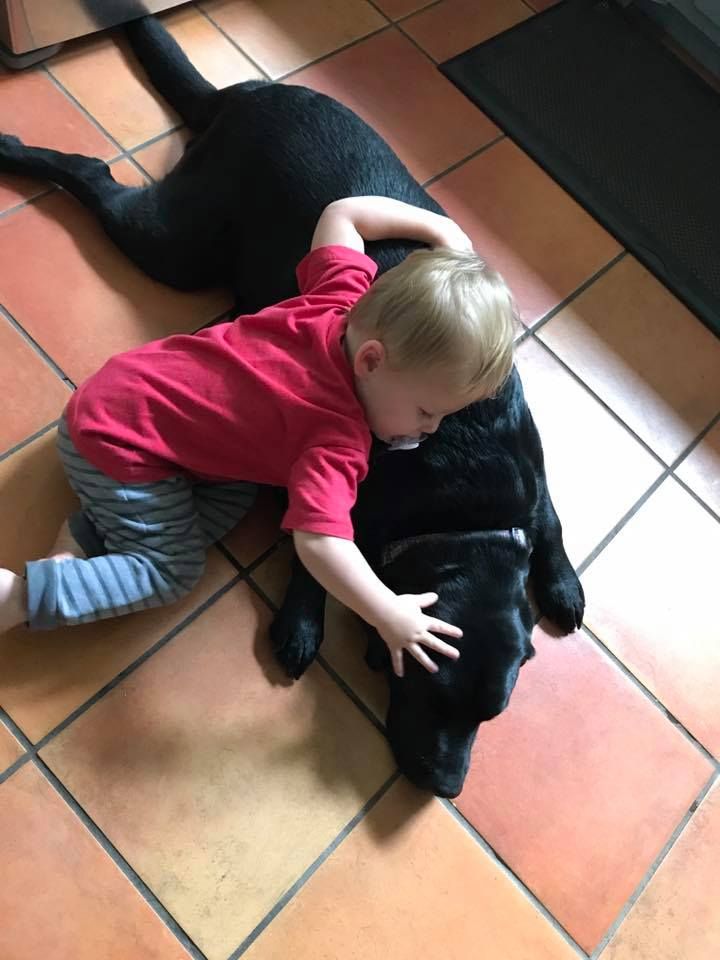 A little boy in a red shirt is petting a black dog