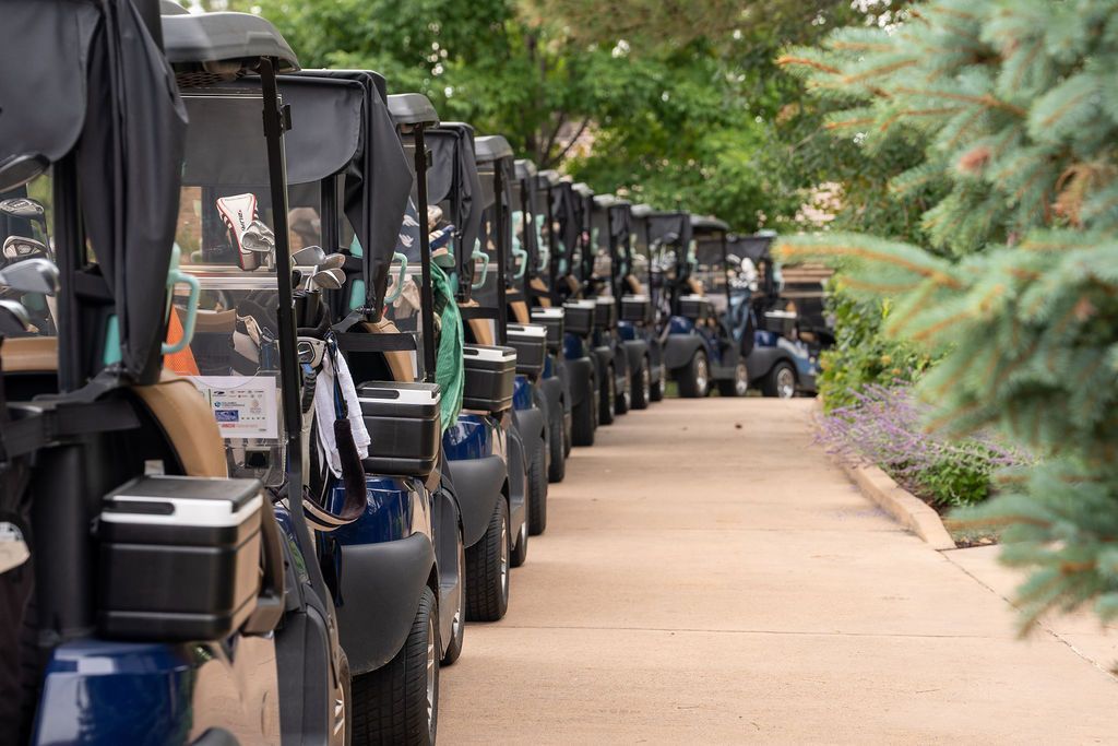 Long line of golf carts in a row on the cart path.