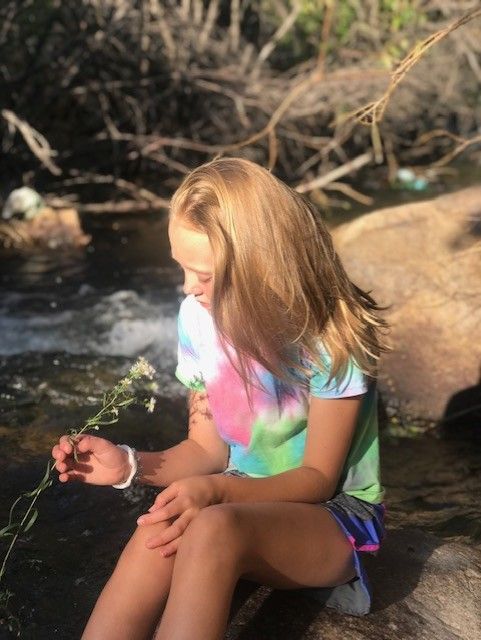 Gracie sitting on a rock outside near a stream with a flower