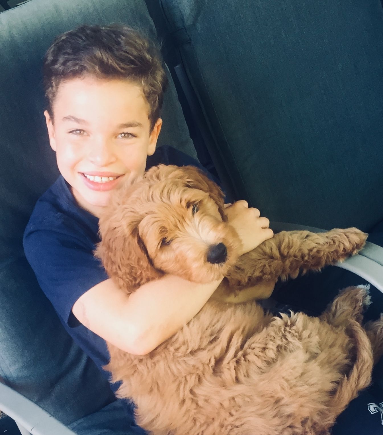 A young boy is holding a brown puppy in his lap